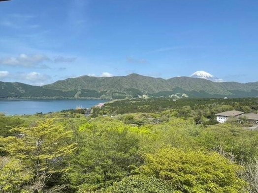 【素泊まり｜4泊以上プラン】芦ノ湖・富士山を一望する絶景｜源泉かけ流し温泉｜最大8名様